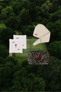 The Wild Card Set