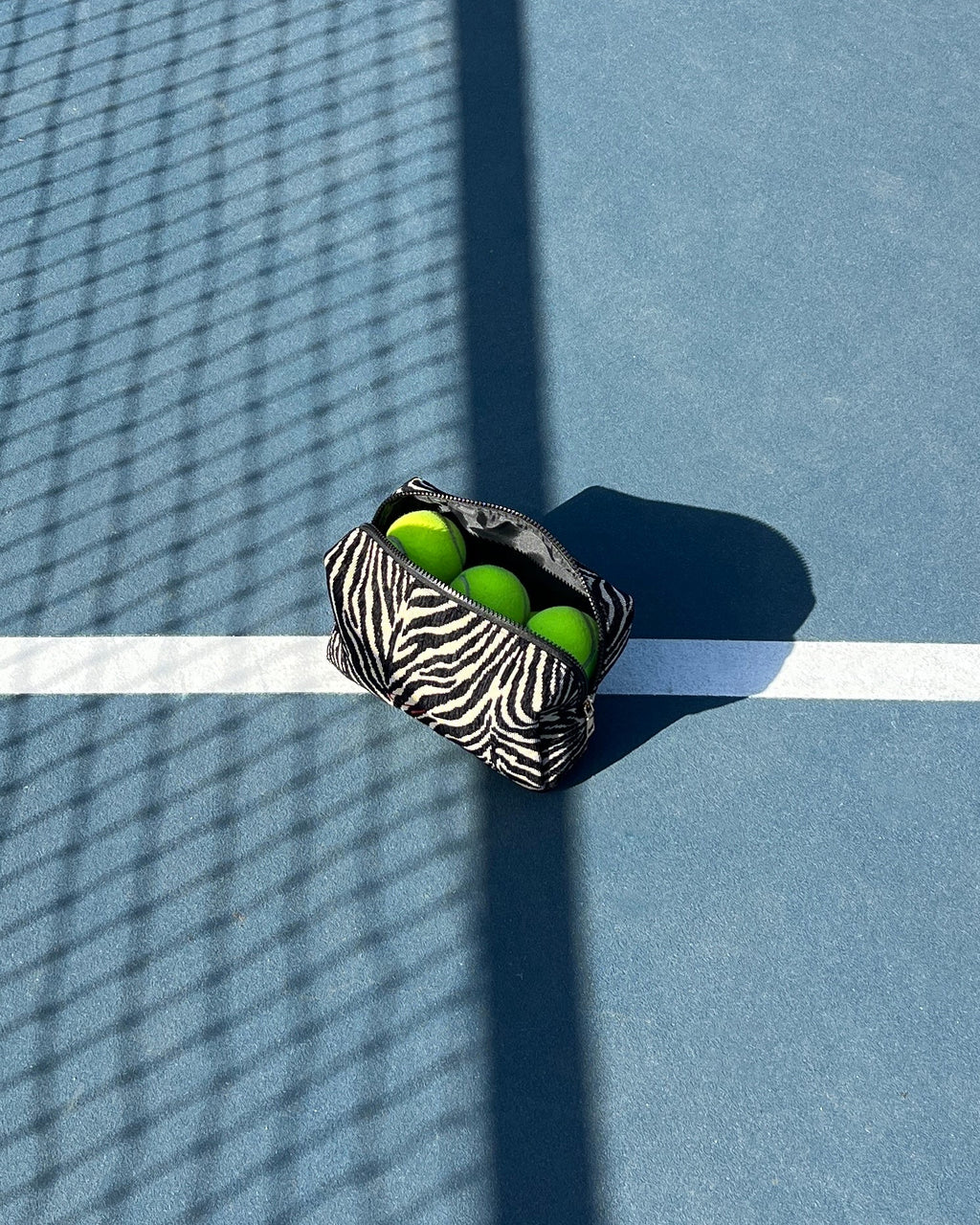 Zebra Pouch Bag